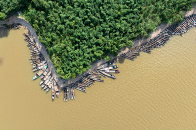 Green Guardians of the Drying River