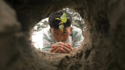 Mangrove save the world