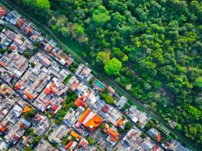 Forests and settlements