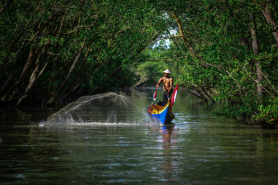 Mangroves are the source of life